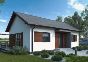 Dom mieszkalny całoroczny  V1 - 70 m²
